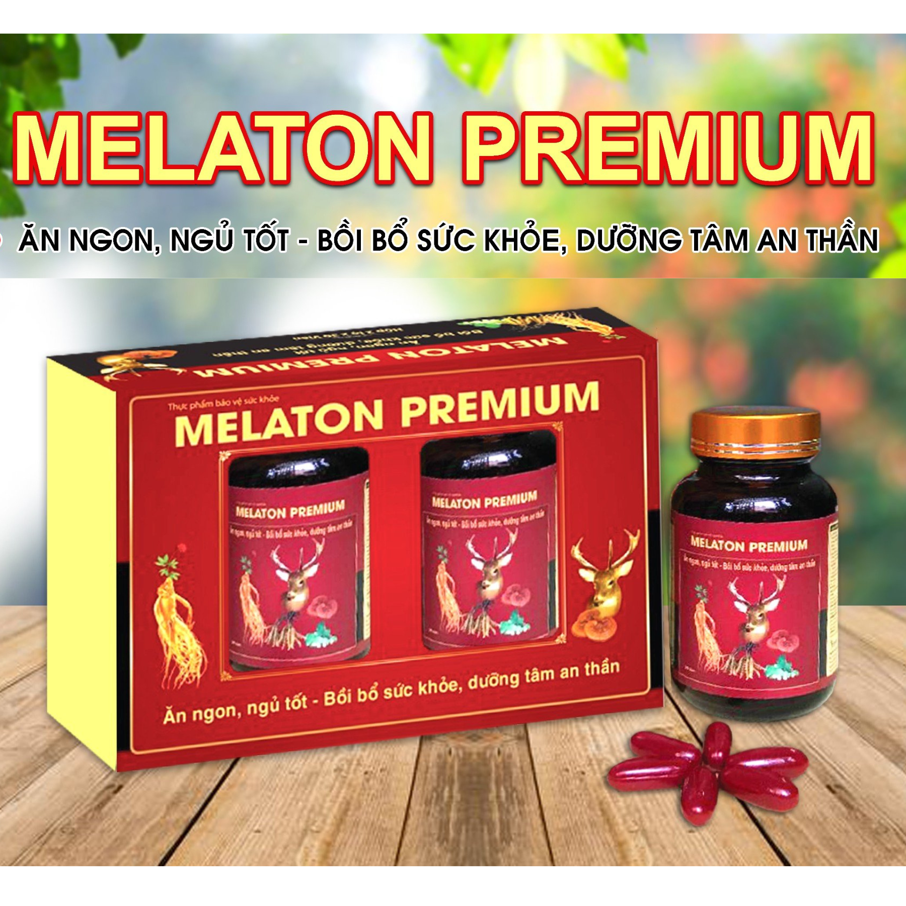 Thuốc Bổ Ăn Ngon Ngủ Tốt Cho Người Lớn Tuổi