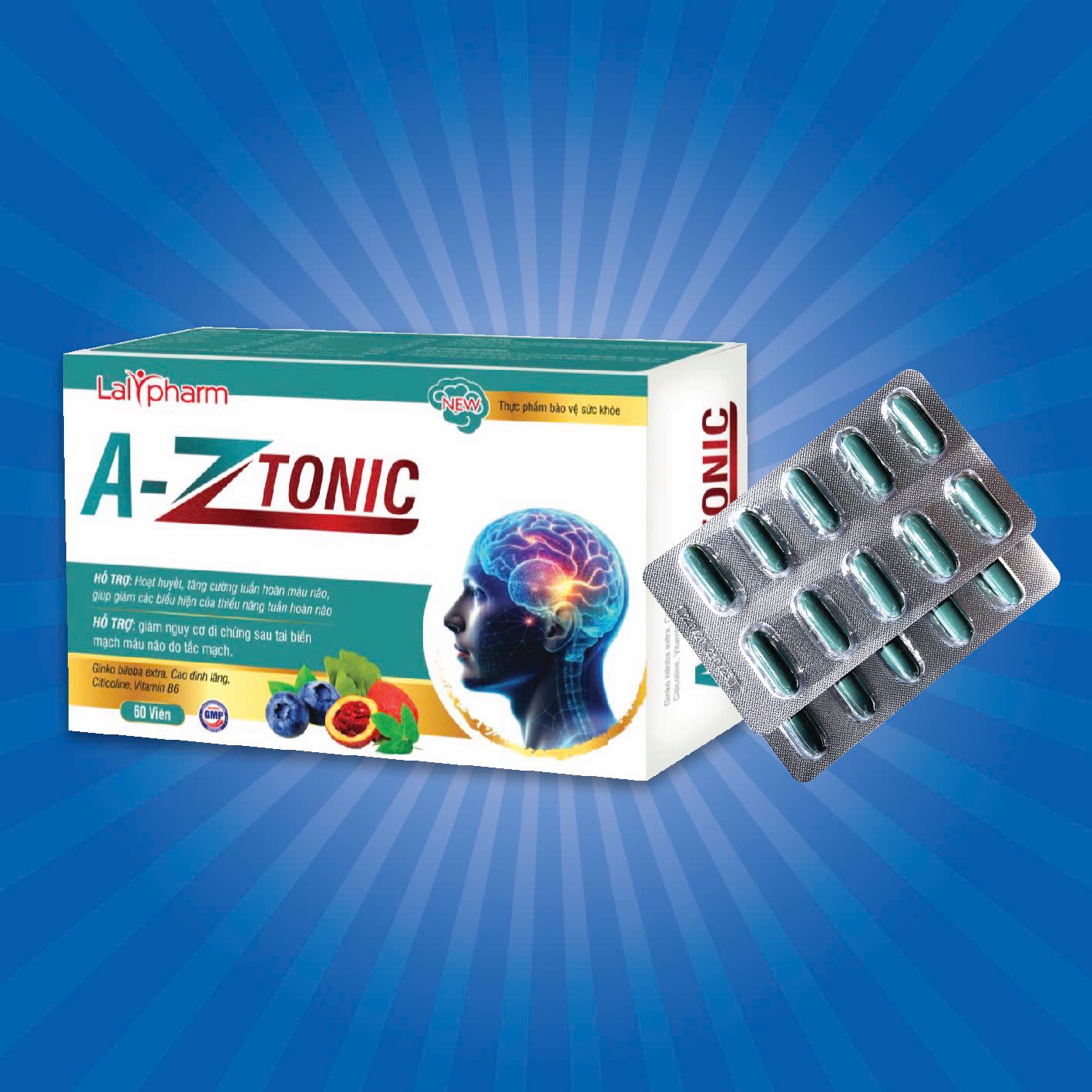 Hoạt Huyết Dưỡng Não, Tăng Cường Lưu Thông Máu A-ZTONIC, Hộp 6 vỉ X 10 Viên